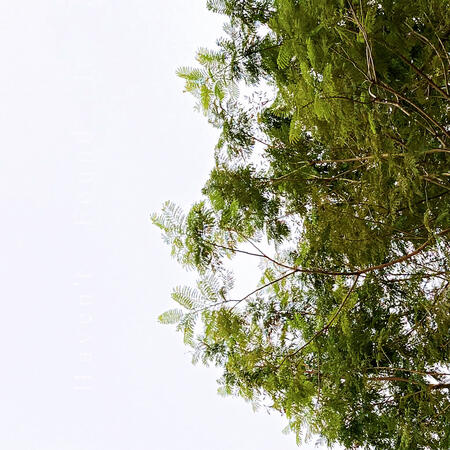 Haven't Found It - EP